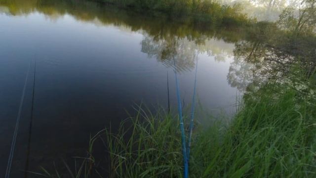 Весенняя рыбалка .Карась,ротан в деревенском пруду. смотреть онлайн