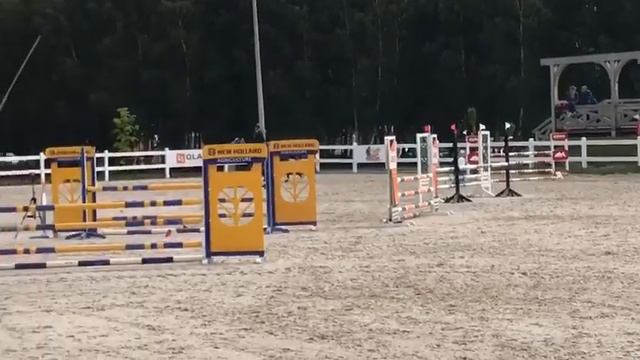 **HANDSOME EYE CATCHER**Lim, 2012, gelding, by Limbus ( Landgraf) x Cantus смотреть онлайн