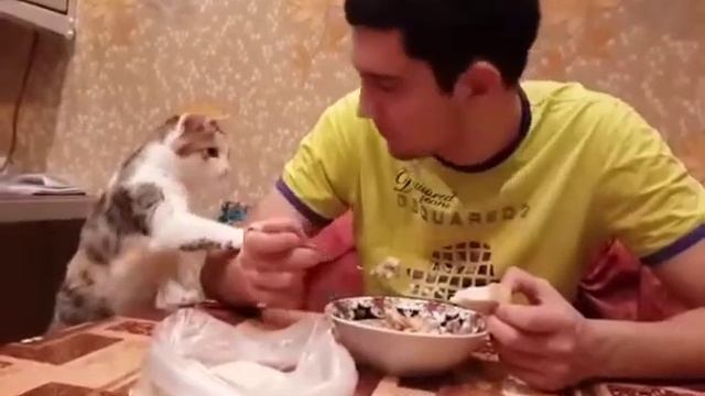 Песня о Посте. Великий пост смотреть онлайн