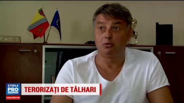 Situatie exploziva in localitatea Valu lui Traian din judetul Constanta смотреть онлайн