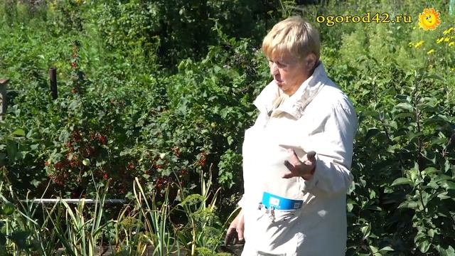 Омоложение чеснока Анной Купреевой смотреть онлайн
