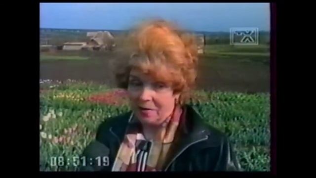 Тюльпаны Геннадия Титаренко - стихи Людмилы Маисеевой смотреть онлайн