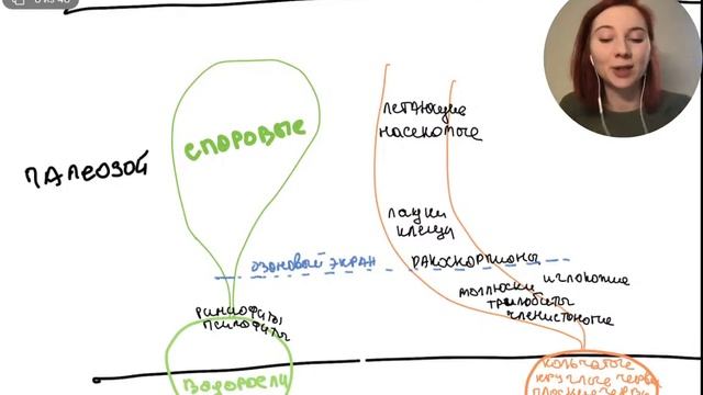 Основные ароморфозы животных | БИОЛОГИЯ ЕГЭ | Лина Клевер смотреть онлайн