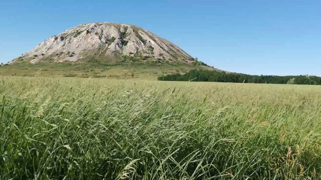 гора Торатау смотреть онлайн