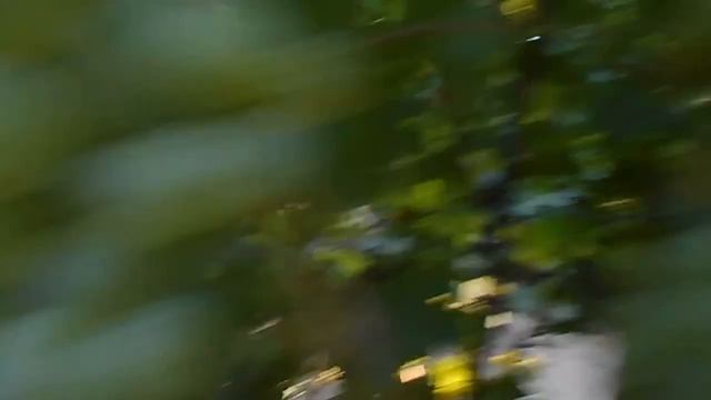 МОЙ ВИНОГРАД 8 СЕН 2020! ТЕЛ. +79054033245, WhtsApp и Viber +79528500417. СЕРГЕЙ. смотреть онлайн