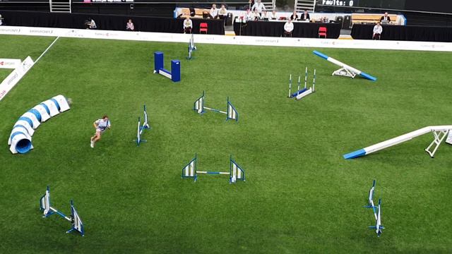 SOLA Ekaterina Sapriko Small Agility AWC 2019 смотреть онлайн