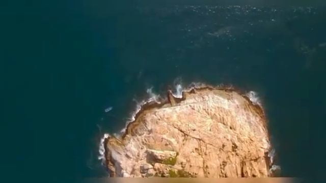 мы родились в сибири//новый девиз//обзор канала смотреть онлайн