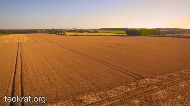 Великий жатвы Господин  №82