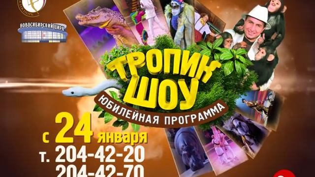 ТРОПИК-ШОУ смотреть онлайн
