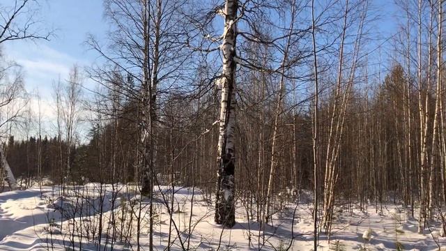 Берег реки Нягань-Юган в феврале смотреть онлайн