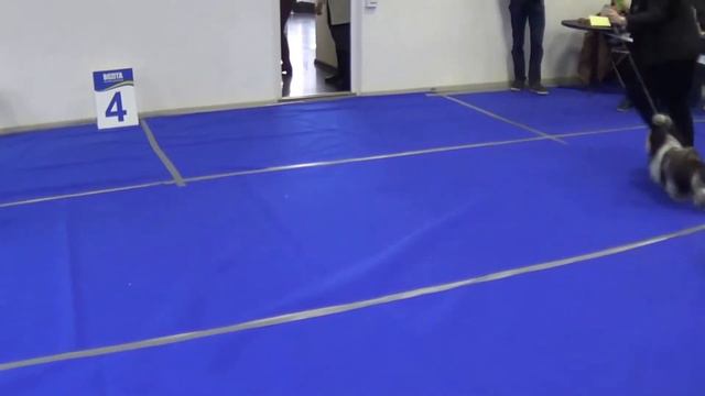 моно 8.12. класс промежуточный..кобели смотреть онлайн