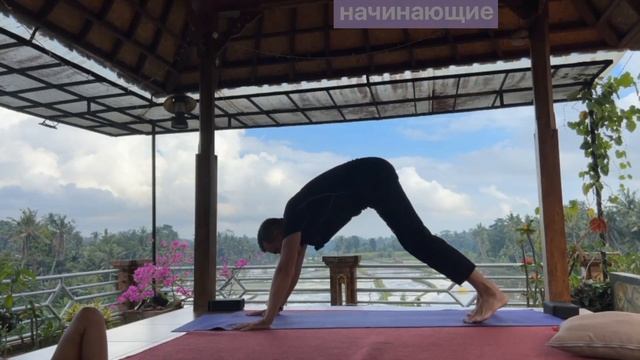 Йога для начинающих. Раскрытие таза, растяжка ног и спины, балансы на руках (занятие №574) смотреть онлайн