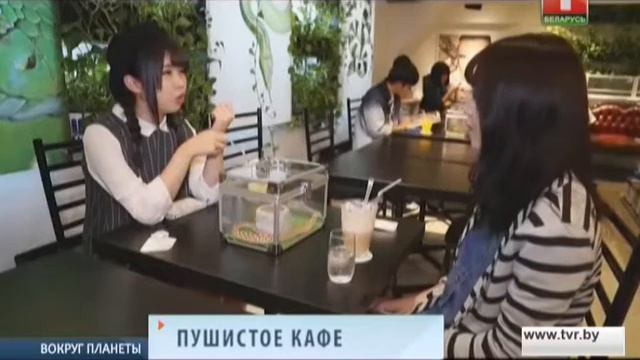 В Таиланде лисички, змеи и сурикаты гуляют по кафе. Вокруг планеты смотреть онлайн
