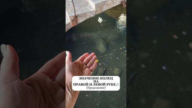 ЗНАЧЕНИЕ КОЛЕЦ НА ПРАВОЙ И ЛЕВОЙ РУКЕ? Читайте пост) смотреть онлайн