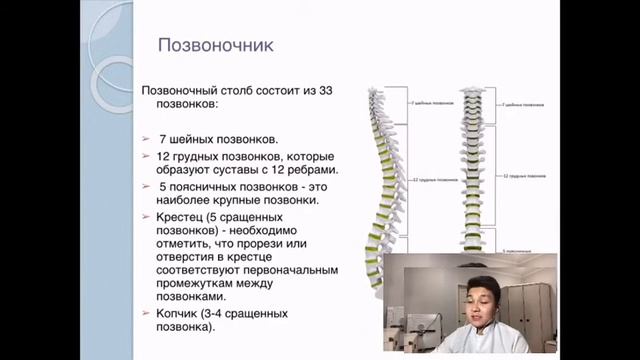 Что такое анатомия? Из каких органов состоит наше тело? смотреть онлайн
