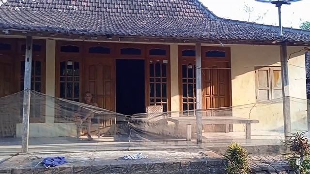 KAMPUNG SUKU JAWA di Pinggiran hutan jati yang damai // Bikin perantau selalu ingin pulang. смотреть онлайн