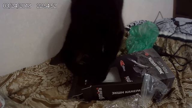 Кузя и коробка от камеры Gmini MagicEye HDS4100 тест смотреть онлайн