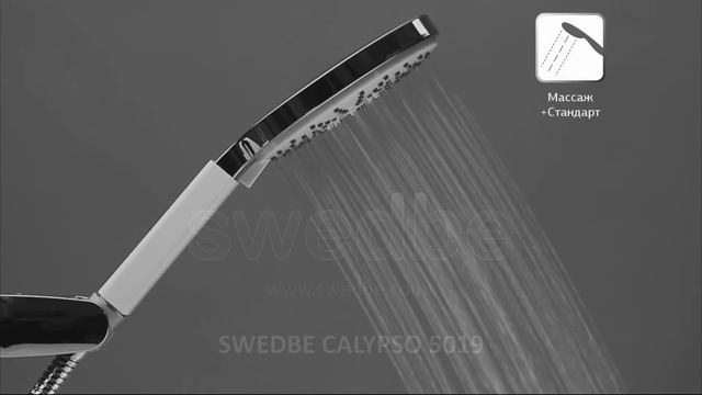 Душевая лейка Swedbe Calypso арт.5019, 3 режима