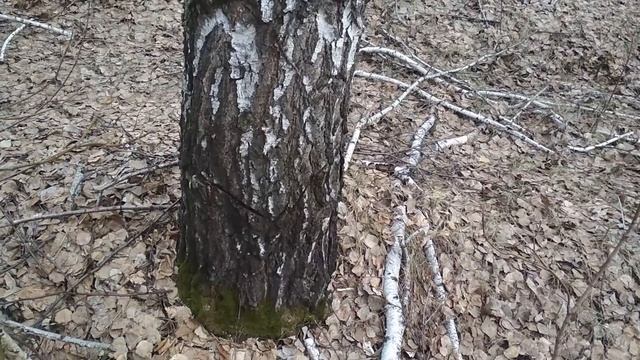 Как Сделать Просто