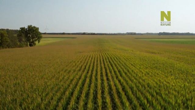 Могучие реки с Джереми Уэйдом. Миссисипи