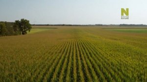 Могучие реки с Джереми Уэйдом. Миссисипи