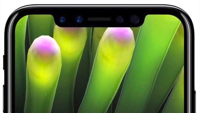 Цена iPhone 8 и первые РЕАЛЬНЫЕ фото! Одной почки будет мало смотреть онлайн