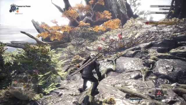 Monster Hunter World - Коллаборация с Ведьмаком (полный гайд)