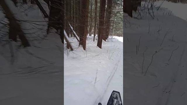 на сноумакс Т200 в лесу смотреть онлайн