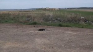 Путешествие в Аркаим