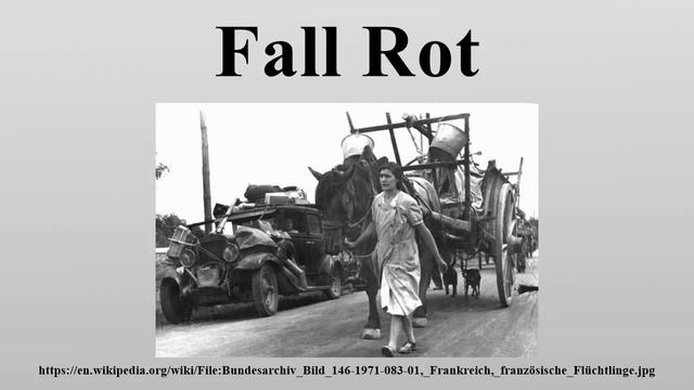 Fall Rot смотреть онлайн