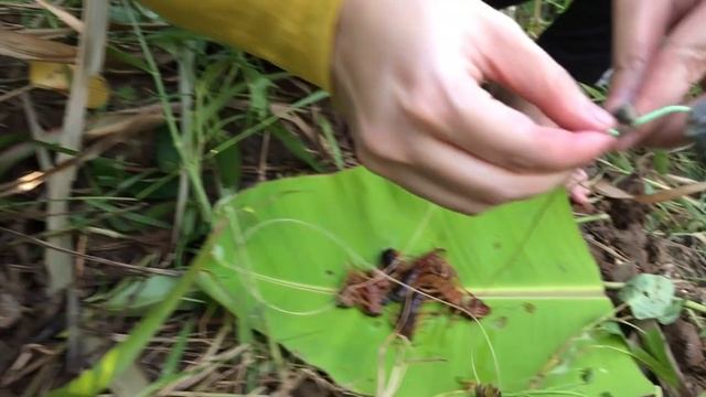 First time girl fishing with centipedes смотреть онлайн