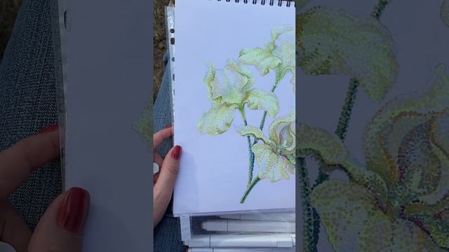 Рисую в стиле импрессионизма желтые ирисы. Пуантилизм. Маркеры для скетча. смотреть онлайн
