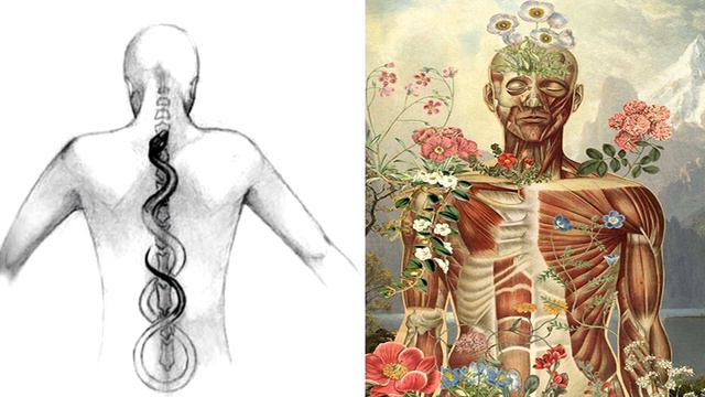 Узлы страха 1. Что делает нас бедными и несчастными. смотреть онлайн