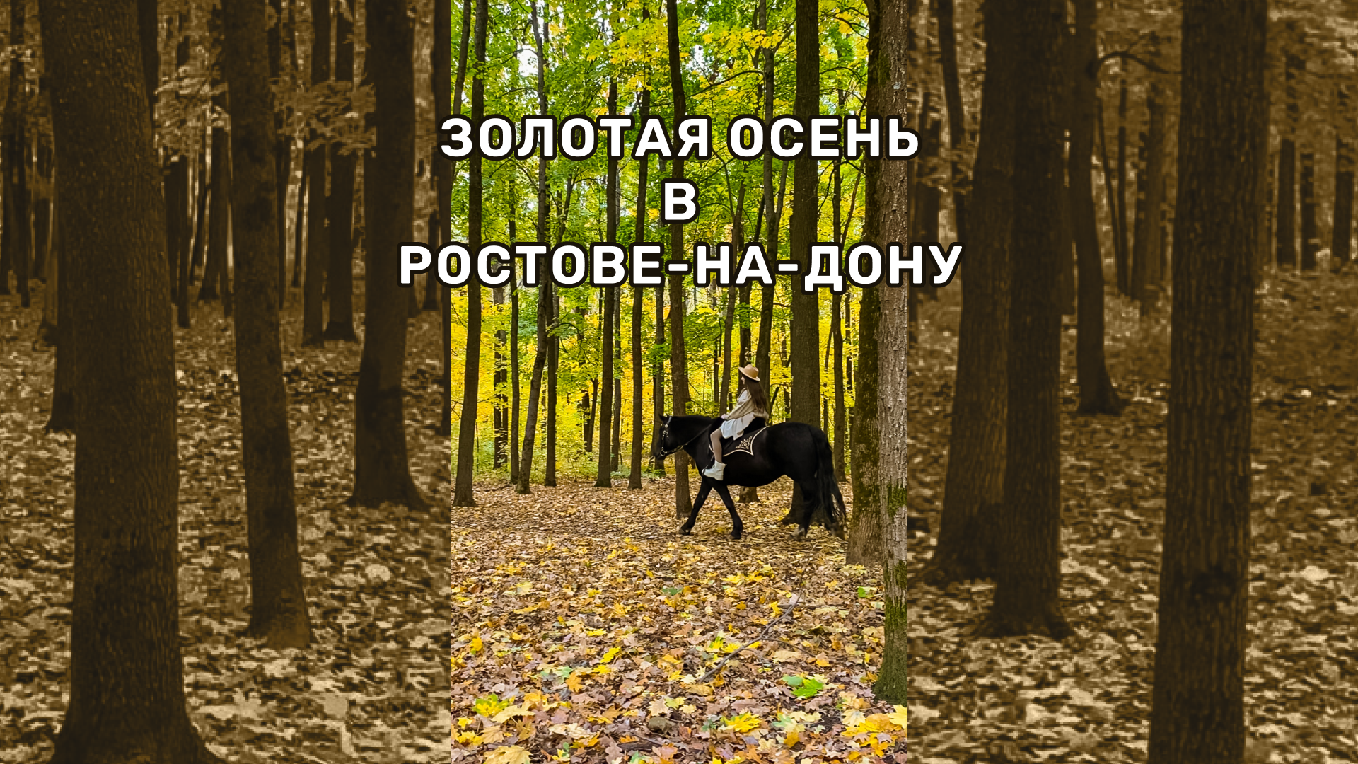 Про отзыв #shorts