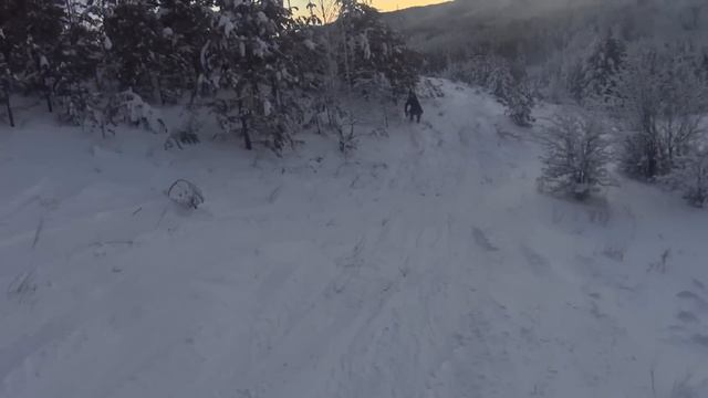 Хвалынск. Давай Витя давай смотреть онлайн