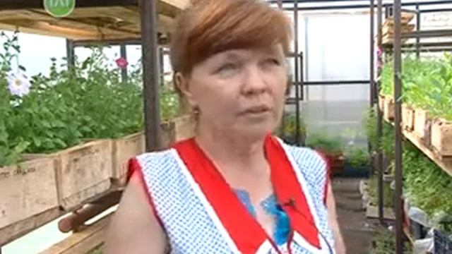 Рассада для цветников Лысьвы смотреть онлайн