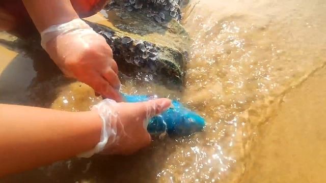 I saw the blue fish belly very strange, after opening it, I found blue pearls!pearl gems смотреть онлайн