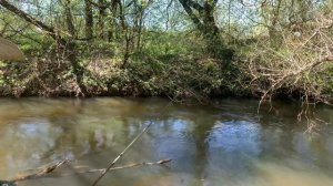 Ловля голавля на майского жука!