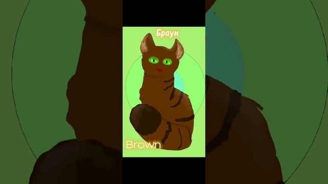 Кошки с которыми часто будут анимации