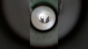 Бомж ломится в дверь)))