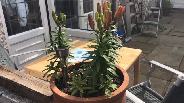 КАК ХОРОШО КОГДА НЕ НАДО НИКУДА СПЕШИТЬ_НЕМНОГО АНГЛИЙСКОГО БЫТА