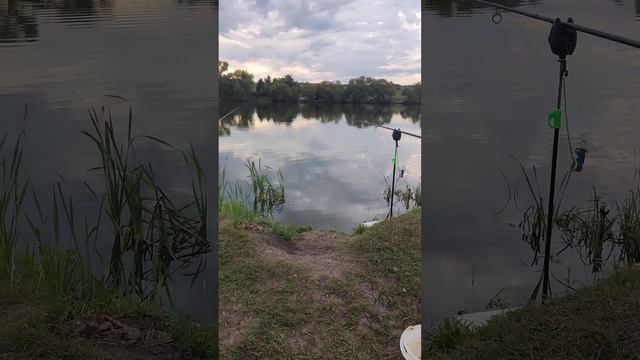 Шебдасское море....на старте ночная рыбалка на карпа!!!! Такого ещё не было. смотреть онлайн