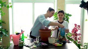 Уральский дачник