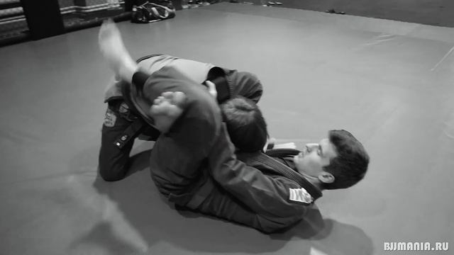 Octopus Baza | Тренировка с Аюбом Магомадовым смотреть онлайн