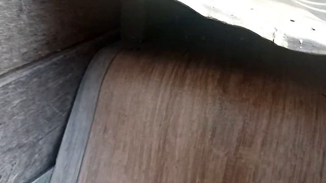 ЗИМНЯЯ ПРИХОЖАЯ В КУРЯТНИК смотреть онлайн