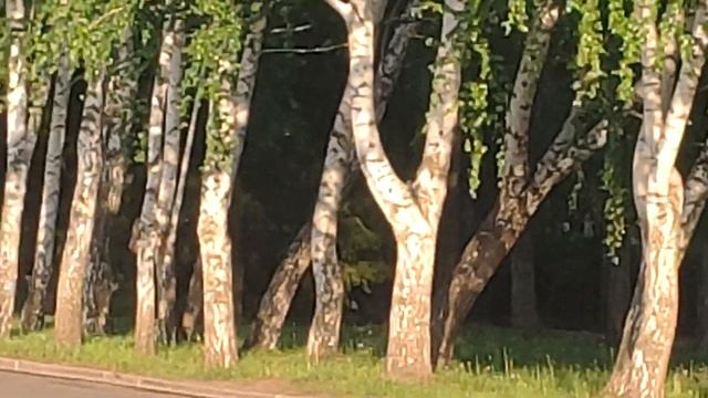 Стерлитамак непарадный. РАЗРуха, дома сносят смотреть онлайн