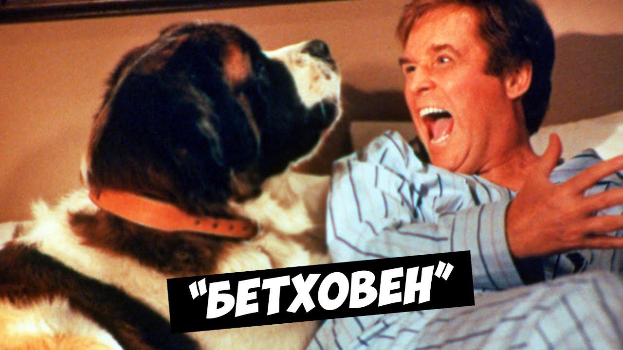 "БЕТХОВЕН" Как сложилась судьба актеров фильма? смотреть онлайн