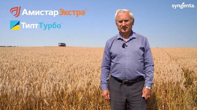 110 ц/га на озимое тритикале! Система защиты Сингента в ОАО Гастелловское. смотреть онлайн
