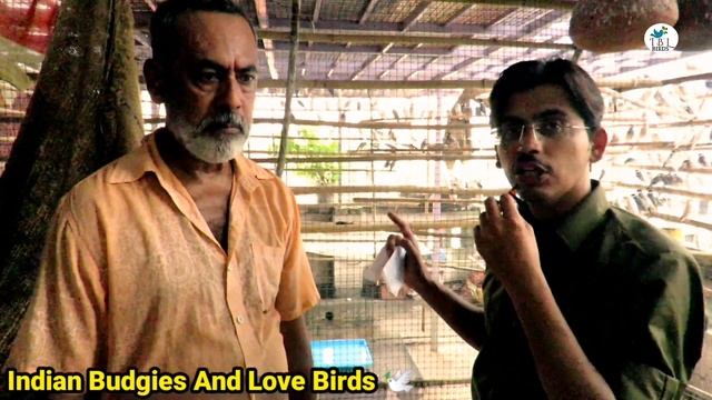 1200 Birds Breeding Farm | 700 Pairs Java/32 Years Experience Babu Da with Heavy Discussion Part-1 смотреть онлайн
