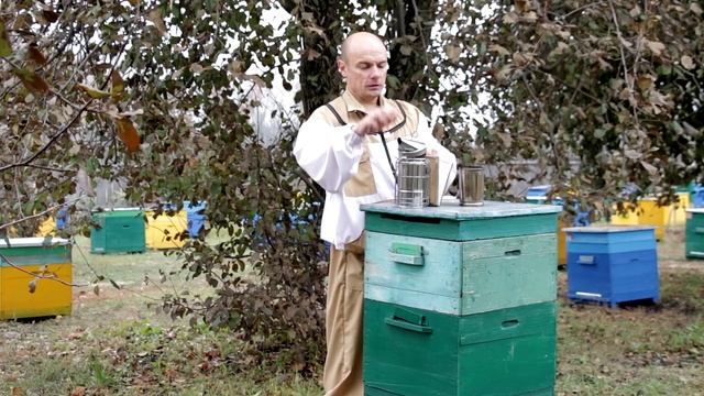 Дымарь пасечный